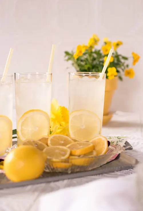 Domáca limonáda